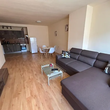 Nice, Spacious And Cozy Apartment Sofia