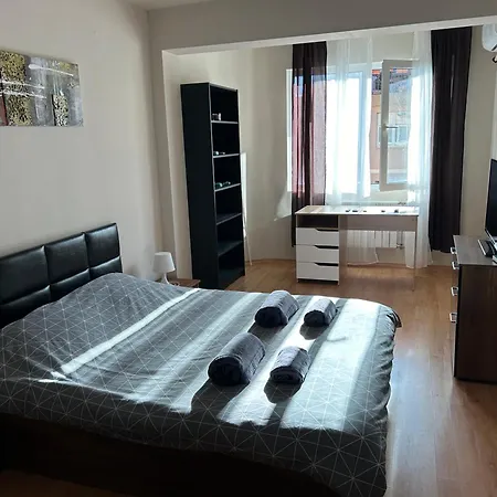 Nice, Spacious And Cozy Sofia