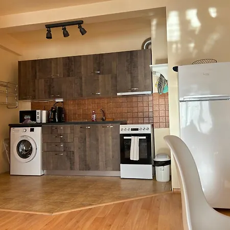 Nice, Spacious And Cozy Apartment *