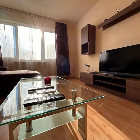 Nice, Spacious And Cozy Apartment Sofia